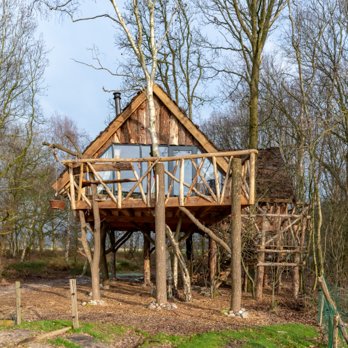 Boomhut Ansen 9.jpg