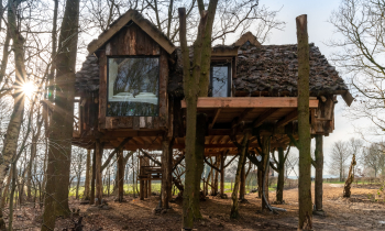 Boomhut Ansen 2.jpg