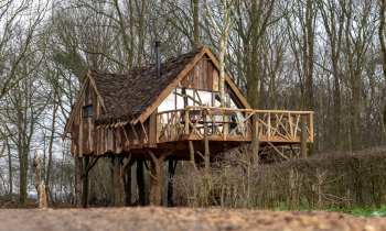 Boomhut Ansen 1.jpg