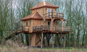 Boomhut Anderen.jpg